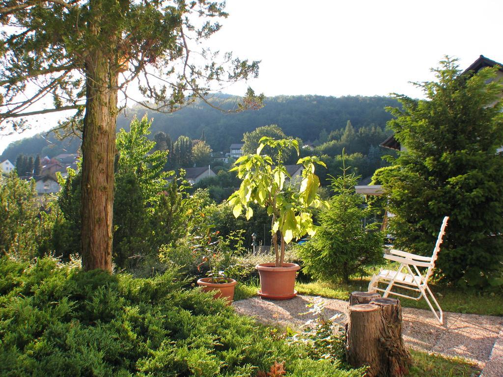 Ferienwohnung In Waldrandlage Zierenberg Exterior foto